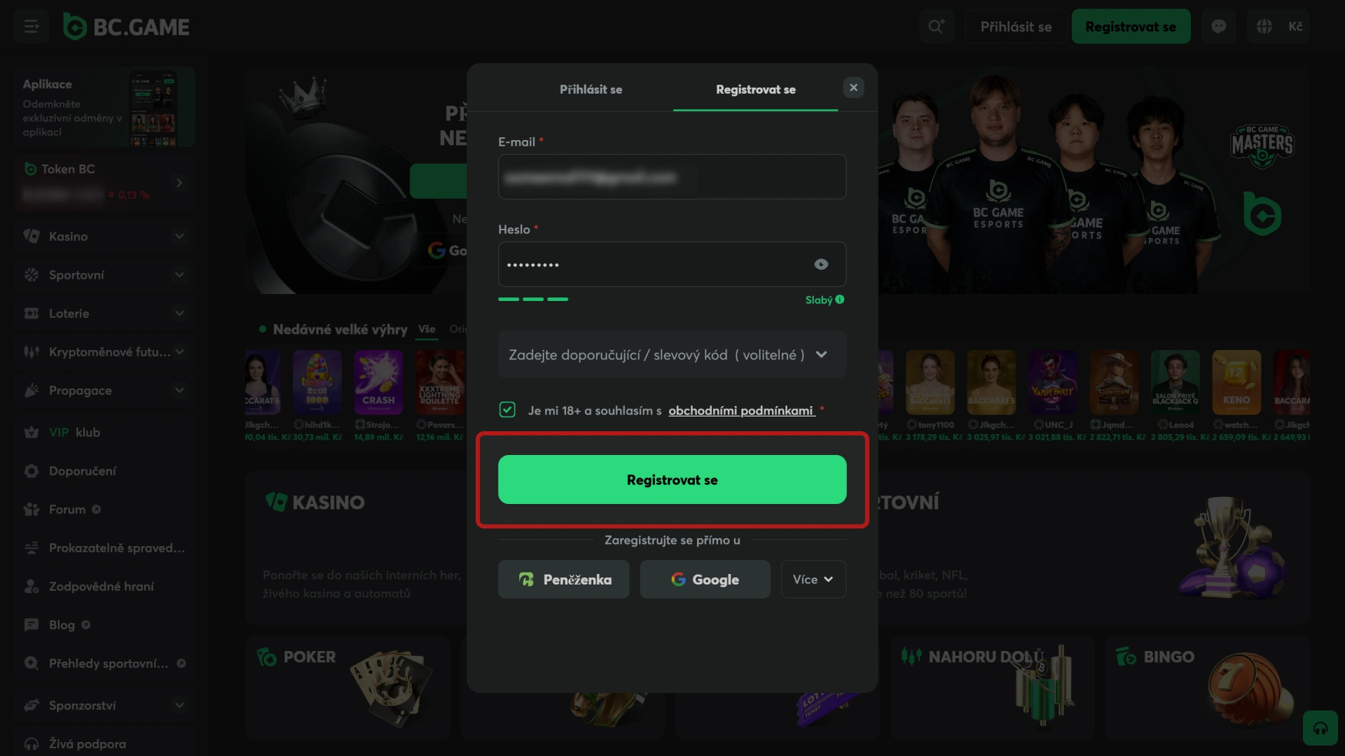 Vyplňte požadované osobní údaje pro registraci nového profilu BC Game.