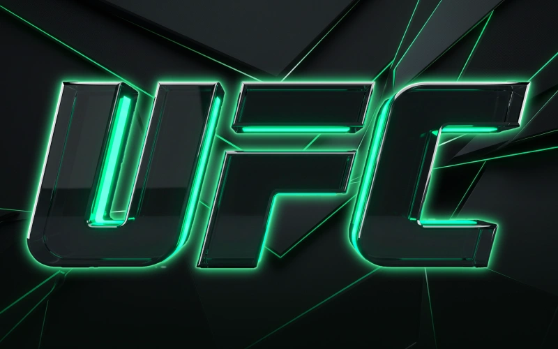 Vsaďte si na turnaje UFC u oficiálního operátora BC Game.